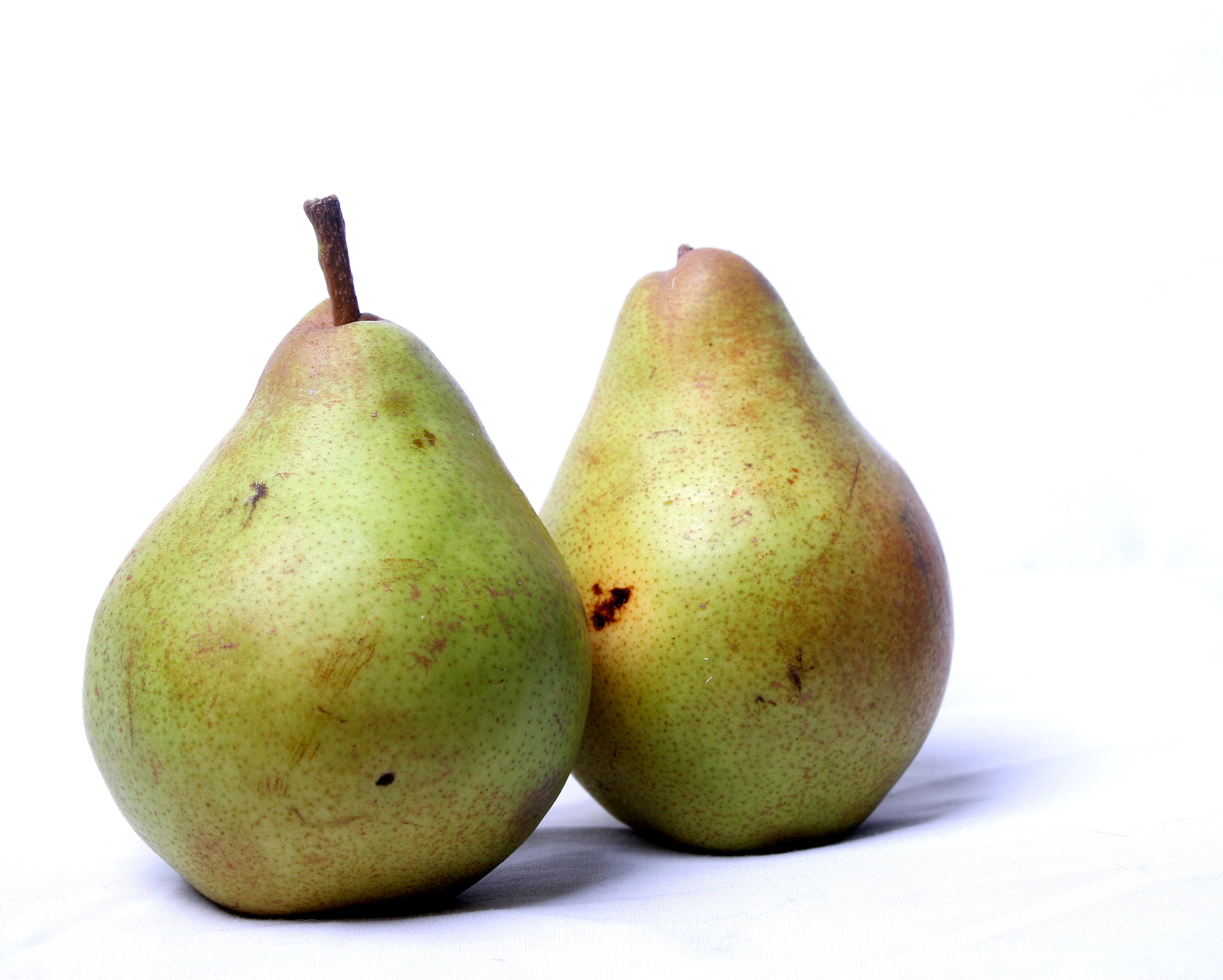 Mazzone pear. Груша сорт Аллегро. Груша Армут. Груша плодовая Аллегро. Груша Кокинская.