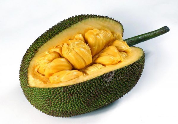 jack fruit