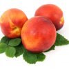 nectarine