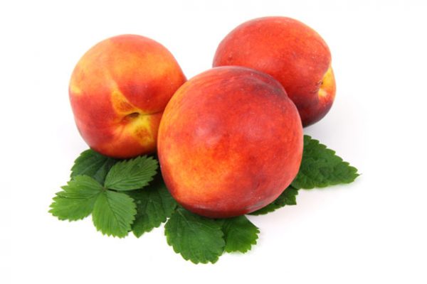 nectarine