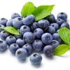 bleu blueberrie