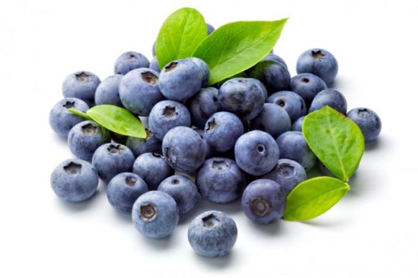 bleu blueberrie