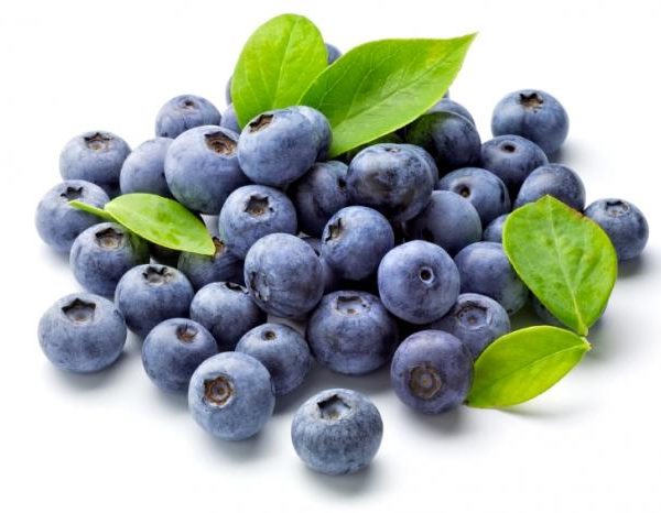 bleu blueberrie