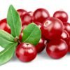 cranberry