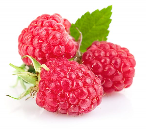 raspberry concentrate