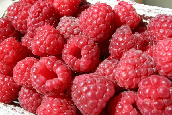 rasberry bg